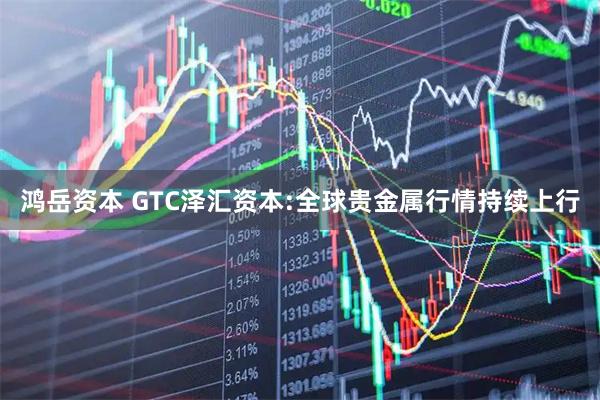 鸿岳资本 GTC泽汇资本:全球贵金属行情持续上行