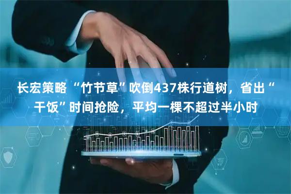 长宏策略 “竹节草”吹倒437株行道树，省出“干饭”时间抢险，平均一棵不超过半小时