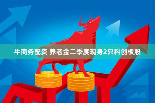 牛商务配资 养老金二季度现身2只科创板股