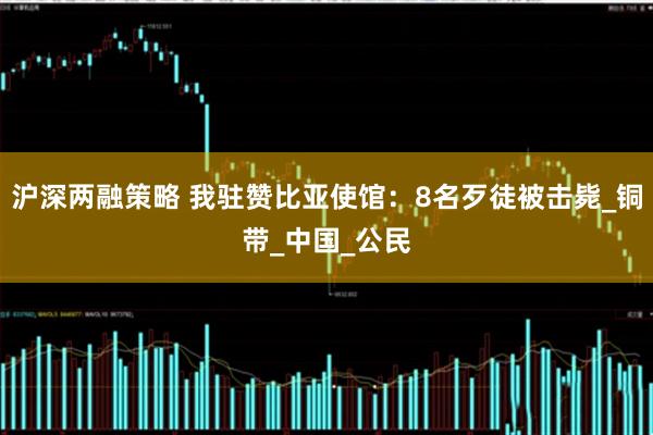 沪深两融策略 我驻赞比亚使馆：8名歹徒被击毙_铜带_中国_公民