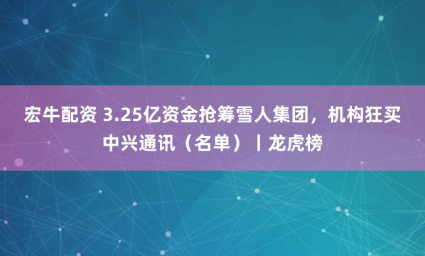 宏牛配资 3.25亿资金抢筹雪人集团，机构狂买中兴通讯（名单）丨龙虎榜