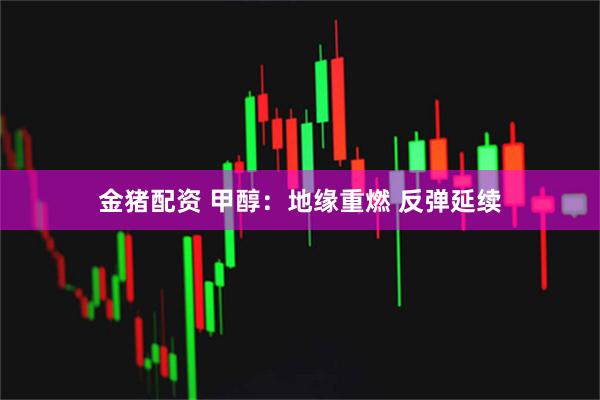 金猪配资 甲醇：地缘重燃 反弹延续